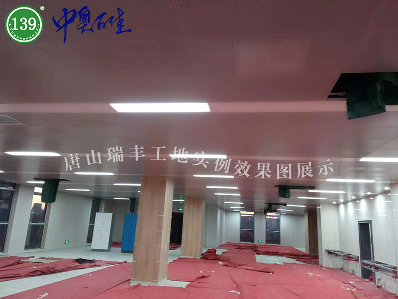 唐山瑞豐工地實例效果圖展示